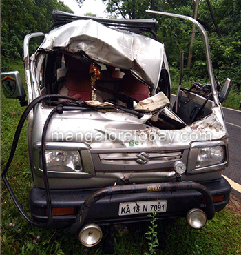 Wild elephant attacks car near Kadaba